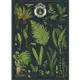 美國 Cavallini & Co. wrap 包裝紙/海報 英國蕨類植物