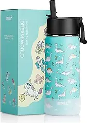 Mollcity Water Bottle for School-470ML Stainless Steel Double Wall Vacuum Insulated Water Bottle with Straw, BPA Free （Dinosaur）