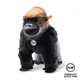 STEIFF德國金耳釦泰迪熊 - Boogie gorilla 大猩猩 (動物王國_黃標)