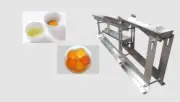 Egg Liquid Processing Equipment Egg White and Yolk Separator S304 AU