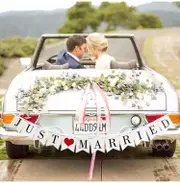 Paperboard Rustic JUST MARRIED Wedding Banner