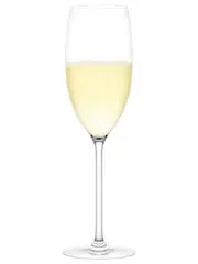 Plumm Vintage Sparkling Wine Glasses, Set of 2