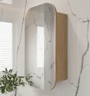 Stadium Mirror Door Storage / Shaving Cabinet