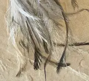 500 BULK EMU Body Feathers, EARRINGS FLY FISHING, MILLINERY