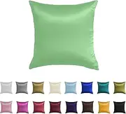 Silky Soft Satin European Pillowcase Pillow Sham (Apple)