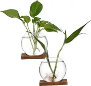 NULYLU 2 Pcs Creative Vase Propagation Vases for Plants Propagation Jars Terrarium Jar Plant Terrarium Plants Propagation Vase Pots for Plants Wall Vases Desktop Vase Transparent Glass