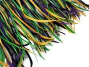 1 Yard - Mardi Gras Goose Biots Stripped Wing Wholesale Feather Trim Art Supply