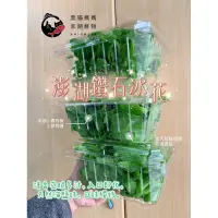 在飛比找蝦皮購物優惠-【黑貓媽媽】⚠️下次產期在11月才有喔！⚠️ 澎湖冰花💎小農