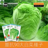 在飛比找蝦皮購物優惠-🌱源頭豐抗90大白菜種子中晚熟山東雜交包心秋季白菜籽 種子 