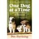 One Dog at a Time: Saving the Strays of Helmand-an Inspiring True Story[88折]11100480621 TAAZE讀冊生活網路書店
