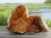 Agatized Coral / Druzy Crystal / Natural Geode / Stunning Specimen / A46