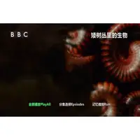 在飛比找蝦皮購物優惠-《矮樹叢里的生物》[英語中英字幕] 版D9DVD