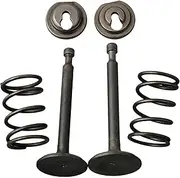 WQWQW Spring Retainer Kit 5.5-6.5HP Engine Exhaust Valve for Honda GX200 Gasoline Convenient Durable