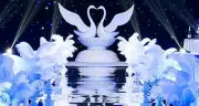 50 Pcs White Above 30 inches Ostrich Feather Plume Wing Horse Feathers