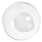 Lampshade for Chandelier Globe Ceiling Fan Light Dimmable Bulbs