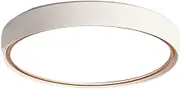 Colored Metal Ceiling Lamp,2-inch Round Wrought Iron Decoration Lighting Fixtures,Acrylic Lampshade Flush Mount Ceiling Light, Study Kitchen Simple Flat Ceiling Lamp