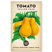 Little Veggie Patch Tomato ' Yellow Pear' Heirloom Seeds
