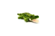 Korimco 34cm Snappy Crocodile Kids Animal Soft Plush Stuffed Toy Green 3y+