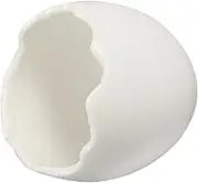 NOLITOY Egg Shaped Dessert Bowl Decorative Food Serving Bowl for Molecular Gastronomy for Home Restaurant Event Decor Capacity Elegant Design