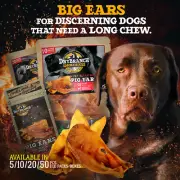 Drybranch BBQ Smoked Pigs Ears Pork Grain Free Treat (Bow Wow Alternative)