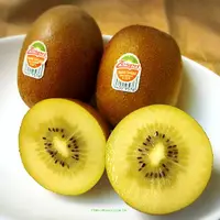 在飛比找樂天市場購物網優惠-【預購】紐西蘭 Zespri｛有機｝陽光金奇異果／最大顆／一