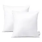 18x18Inch Throw Pillow Inserts, Set of 2 Square Form Cushion Stuffers for Cou...