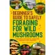 Beginner’s Guide to Safely Foraging for Wild Mushrooms: Identifying and Collecting Mushrooms Sustainably with Confidence