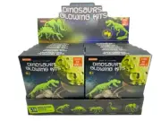 Dinosaurs Glowing Kit 3D Glow in the Dark kit AFTB15