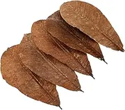 TIDTALEO 20pcs Japanese Sushi Dried Leaf Props Natural Sashimi Plate Decorations Japanese Food Decorations