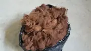 Rockleigh Alpacas - Alpaca Fleece - Brown - Carmelle - 750g