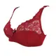 C D Cup Big Size Women Bra Lace Hollow Out Ultrathin Bras