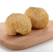 Lion’s Mane (Monkey Head) Mushrooms - Organic- Dried -100g