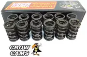 SET OF 12 CROW CAMS DUAL VALVE SPRING FOR FORD LTD AU INTECH VCT 4.0L I6