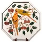 TR Marble Coffee Center Table Top Yellow Parrots Inlay Entryway Decor 2'x2'