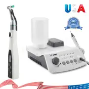 Dental LED Ultrasonic Scaler Bottle/Hygiene Prophy Handpiece 4:1 Polishing Motor