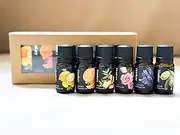 Pure Essential Oil, Therapeutic Grade, Aromatherapy/Massage Oil Gift box pack of 6 for Diffuser Humidifier Perfume Oil Floral-Fruit Collection: Orange, Lemon, Ginger, Olive, Rose, Lavender (10ml)
