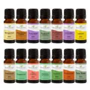 Top 14 Singles Set Lavender, Eucalyptus, Peppermint, Orange Sweet, Lemon & Mo...