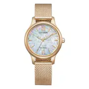 Citizen Eco-Drive Mesh Women's Watch EM0892-80D
