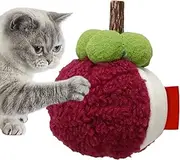 Cat Toys with Catnip,Catnip Toys for Indoor Cats | Fruit Stuffed Simulation for Kitten Teeth Cleaning Interactive Play Reduce Boredom