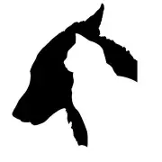 Car Sticker Dog And Cat Decals Vehicle Truck Bumper Window Wall Mirror Decoration