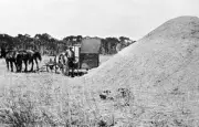 Braybrook Stripper at Grain & Chaff Heap Nandaly Bimbourie 1920 OLD PHOTO