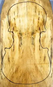 4/4 Violin/Mandolin Top/Back Spalted Maple Wood Instrument Luthier Supply 3567