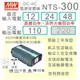 【保固附發票】MW明緯 300W 純正弦波工業級逆變器 NTS-300 12V 24V 48V 轉 110V 直流轉交流 DC-AC