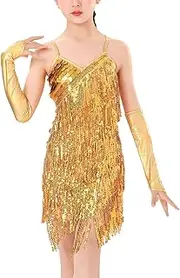 [Happy Cherry] Fringe Sequin Dress for Girls Cha Cha Jazz Dance Costume Tassel Stage Outfit Latin Dress Ballroom Dancewear