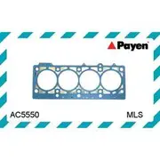 Payen Head Gasket - AC5550