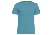 Duke Mens D555 Flyers 2 Kingsize T-Shirt (Teal) - UTDC170
