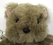 (Y24C14B8) Walt Disney Disneyland Plush Star Wars Ewok Stuffed Animal Lucasfilm