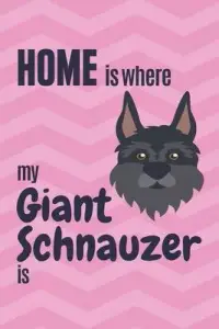 在飛比找博客來優惠-Home is where my Giant Schnauz