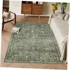 5x7 Boho Bedroom Area Rug, Soft Green Rugs for Living Room, 5'x7' Olive Green