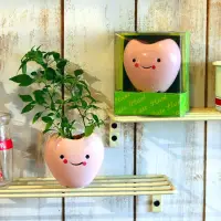 在飛比找博客來優惠-【迎光】Cute plant陶瓷植栽-愛心